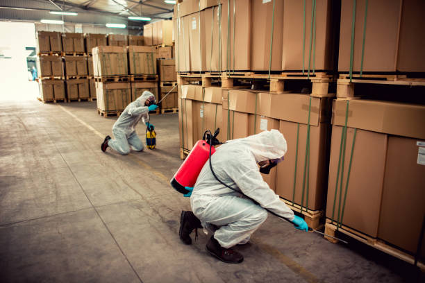 Best Best Pest Control Companies  in Ketchum, ID