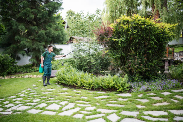 Best Pest Inspection Near Me  in Ketchum, ID