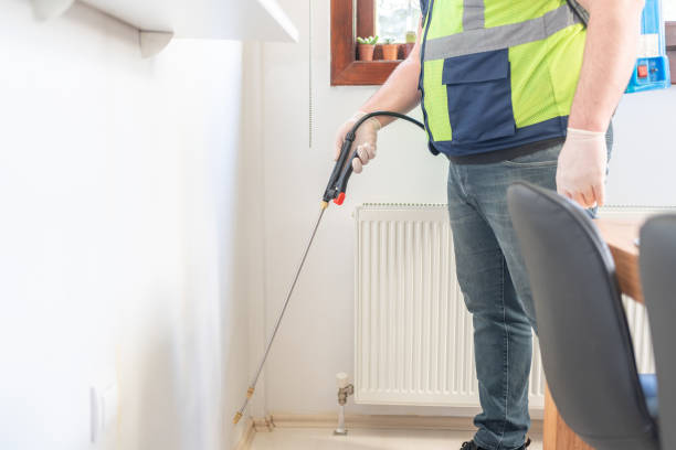 Best Termite Control Services  in Ketchum, ID