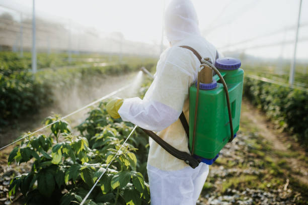 Best Mosquito Control Services  in Ketchum, ID